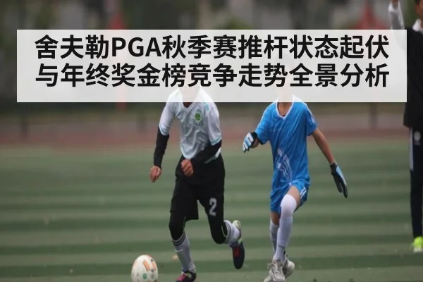 舍夫勒PGA秋季赛推杆状态起伏与年终奖金榜竞争走势全景分析